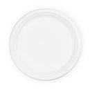 Paper Plates Bagasse 10 inch pkt 170
