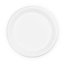 Paper Plates Bagasse 10 inch pkt 170