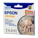 Epson T0491 Black Ink Cart
