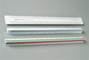 RULER ACADEMY SCALE NO.2 (1:1,1:50,1:5,1:100)
