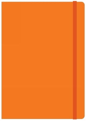 NOTEBOOK COLLINS A5 LEGACY FEINT RULED ORANGE 240PG