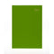 DIARY 2023 COLLINS ESSA53.64 A5 ESSENTIAL WTV LIME