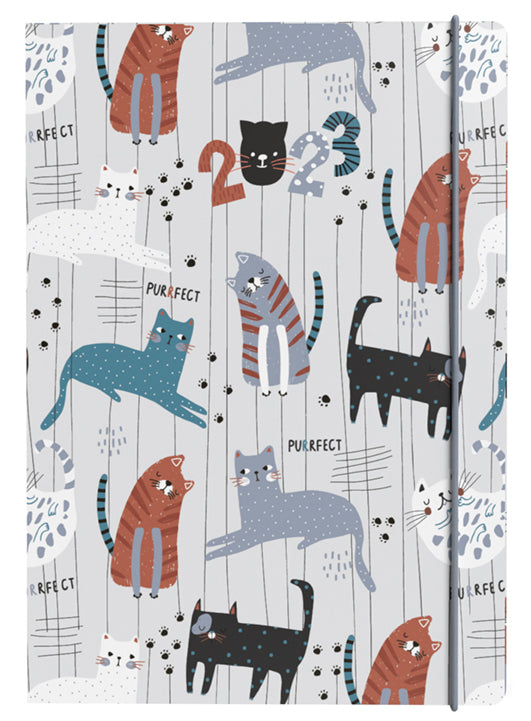 DIARY 2023 COLLINS MR153.CT A5 MARU WTV CAT