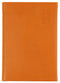 DIARY 2023 DEBDEN S5100.P44 A5 SILHOUETTE DTP ORANGE